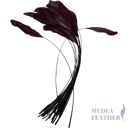 25cm Stripped Coque Feathers - Pack of 10 SFROOSTER01 - #34 windsor wine