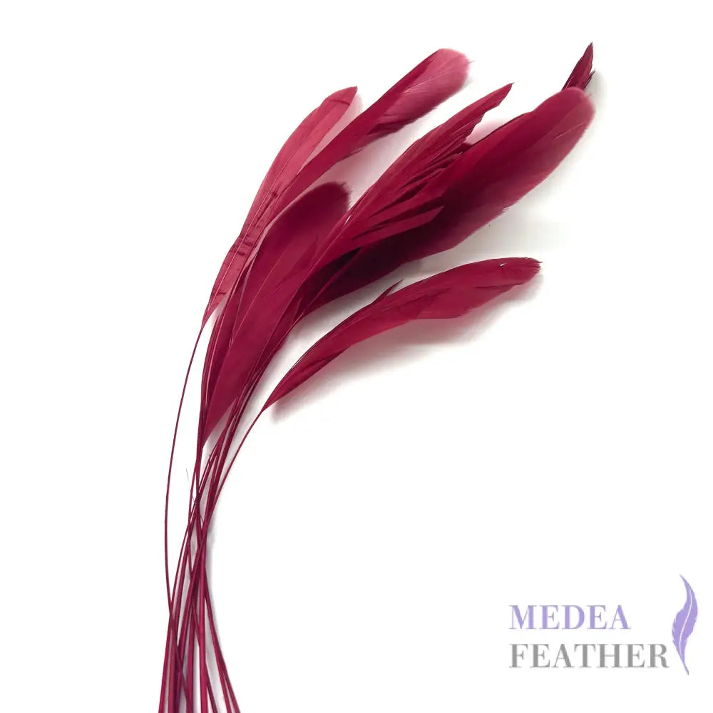 25cm Stripped Coque Feathers Pack of 10- SFROOSTER01 - #37 burgundy