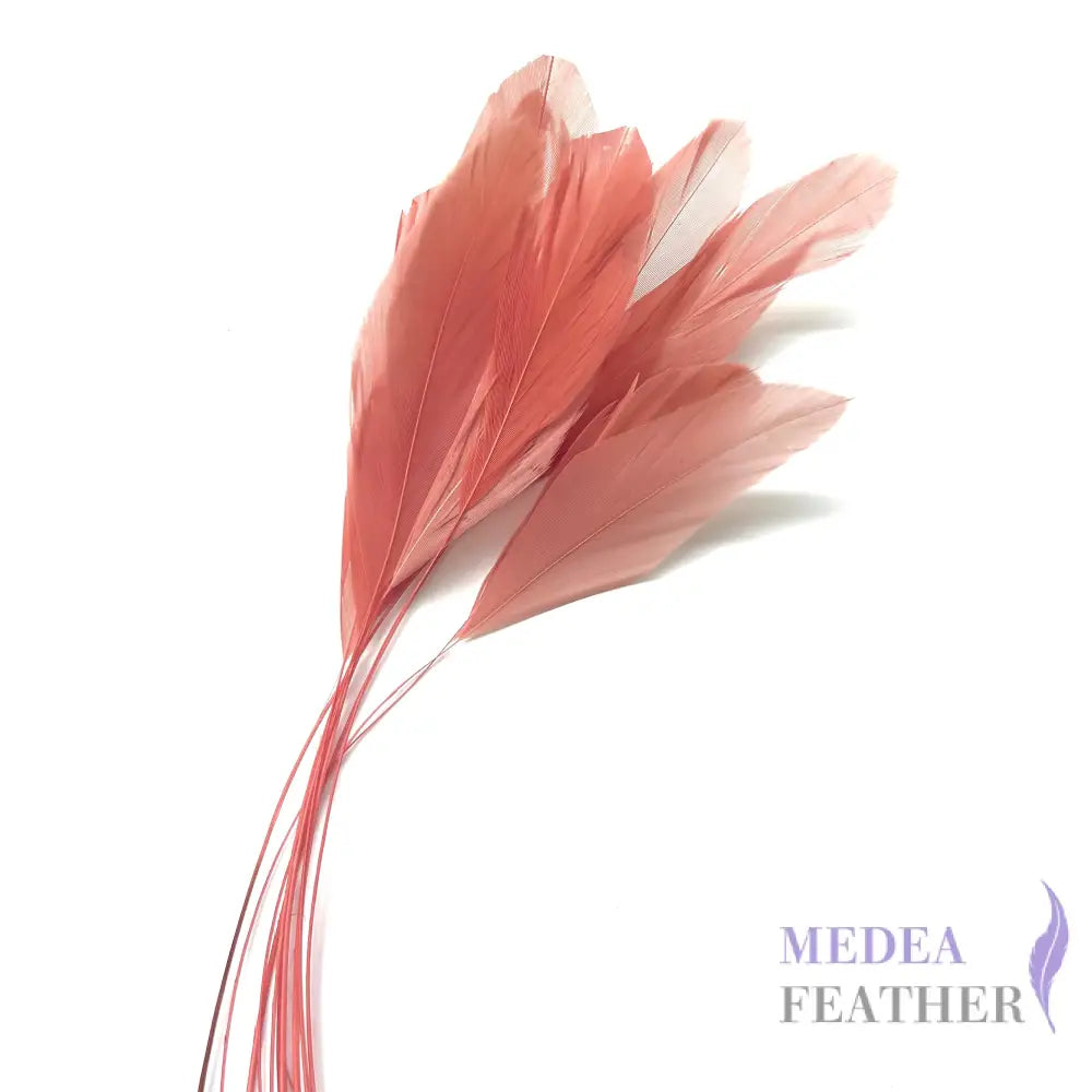 25cm Stripped Coque Feathers Pack of 10- SFROOSTER01 - #43 Rose