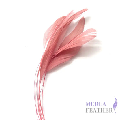25cm Stripped Coque Feathers Pack of 10- SFROOSTER01 - #45 rose cloud