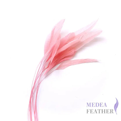 25cm Stripped Coque Feathers Pack of 10- SFROOSTER01 - #46 bloosom