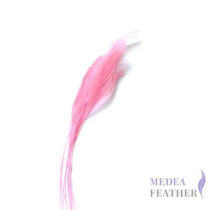 25cm Stripped Coque Feathers Pack of 10- SFROOSTER01 - #51 pink