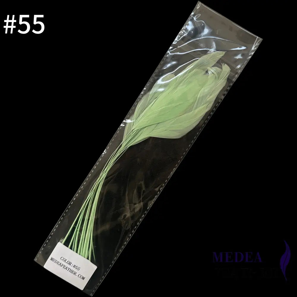 25cm Stripped Coque Feathers - Pack of 10 SF005 #55 mint
