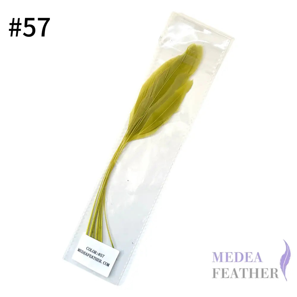 25cm Stripped Coque Feathers - Pack of 10 SF005 #57 cress green