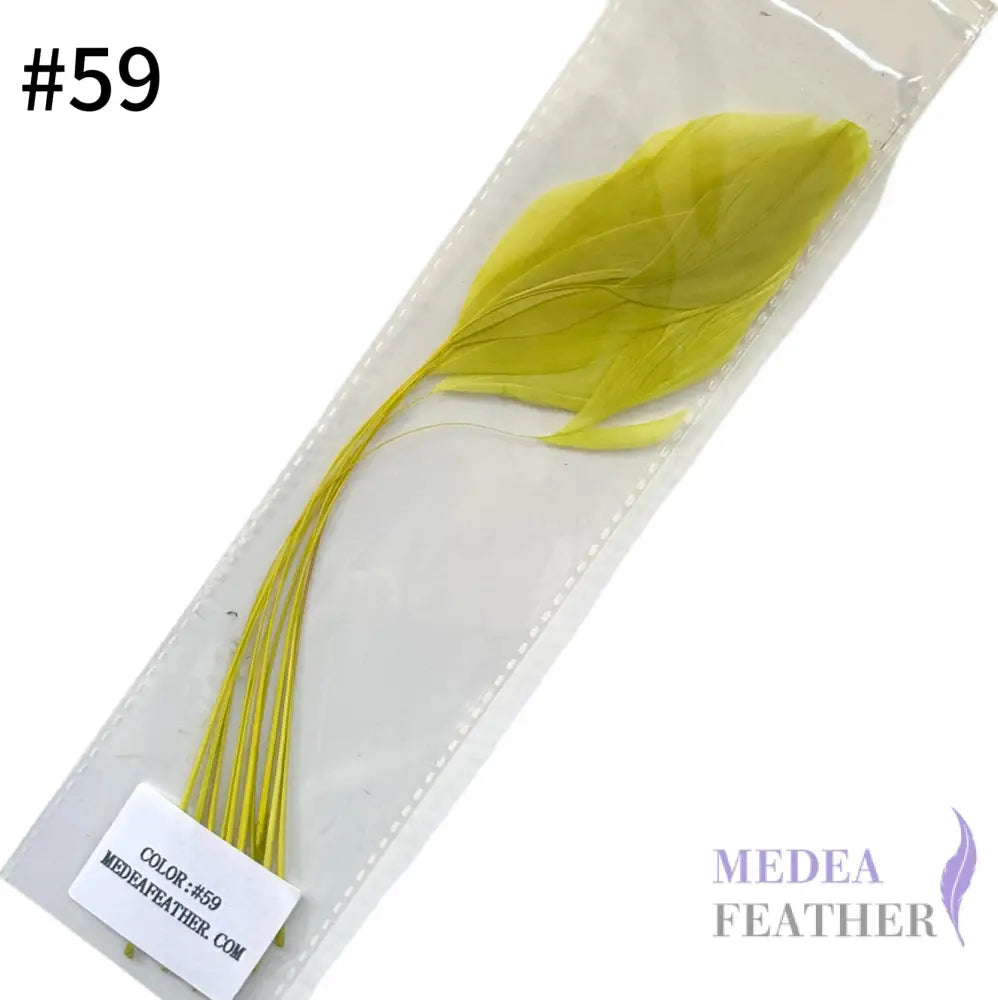 25cm Stripped Coque Feathers - Pack of 10 SF005 #59 wild green