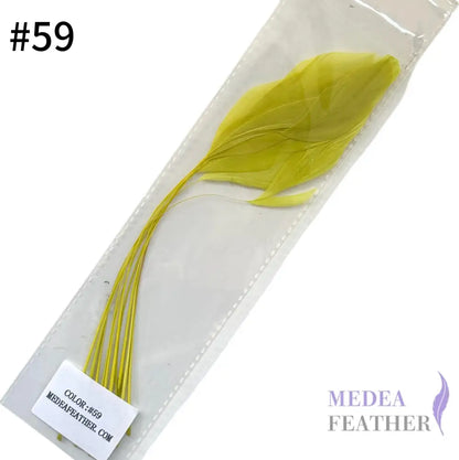 25cm Stripped Coque Feathers - Pack of 10 SF005 #59 wild green