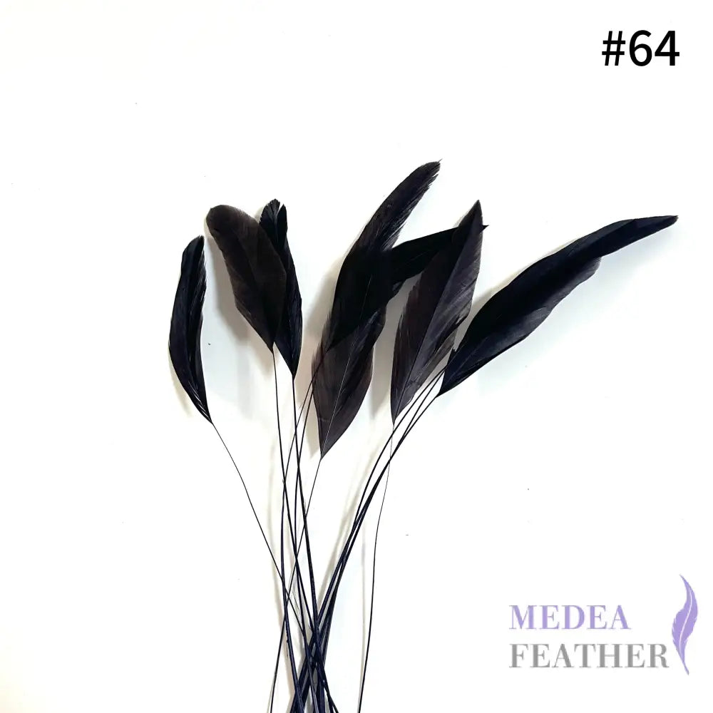 25cm Stripped Coque Feathers Pack of 10- SFROOSTER01 - #64 choco