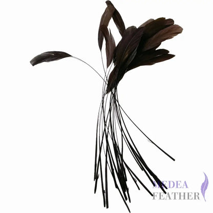 25cm Stripped Coque Feathers - Pack of 10 SFROOSTER01 - #64 slate black