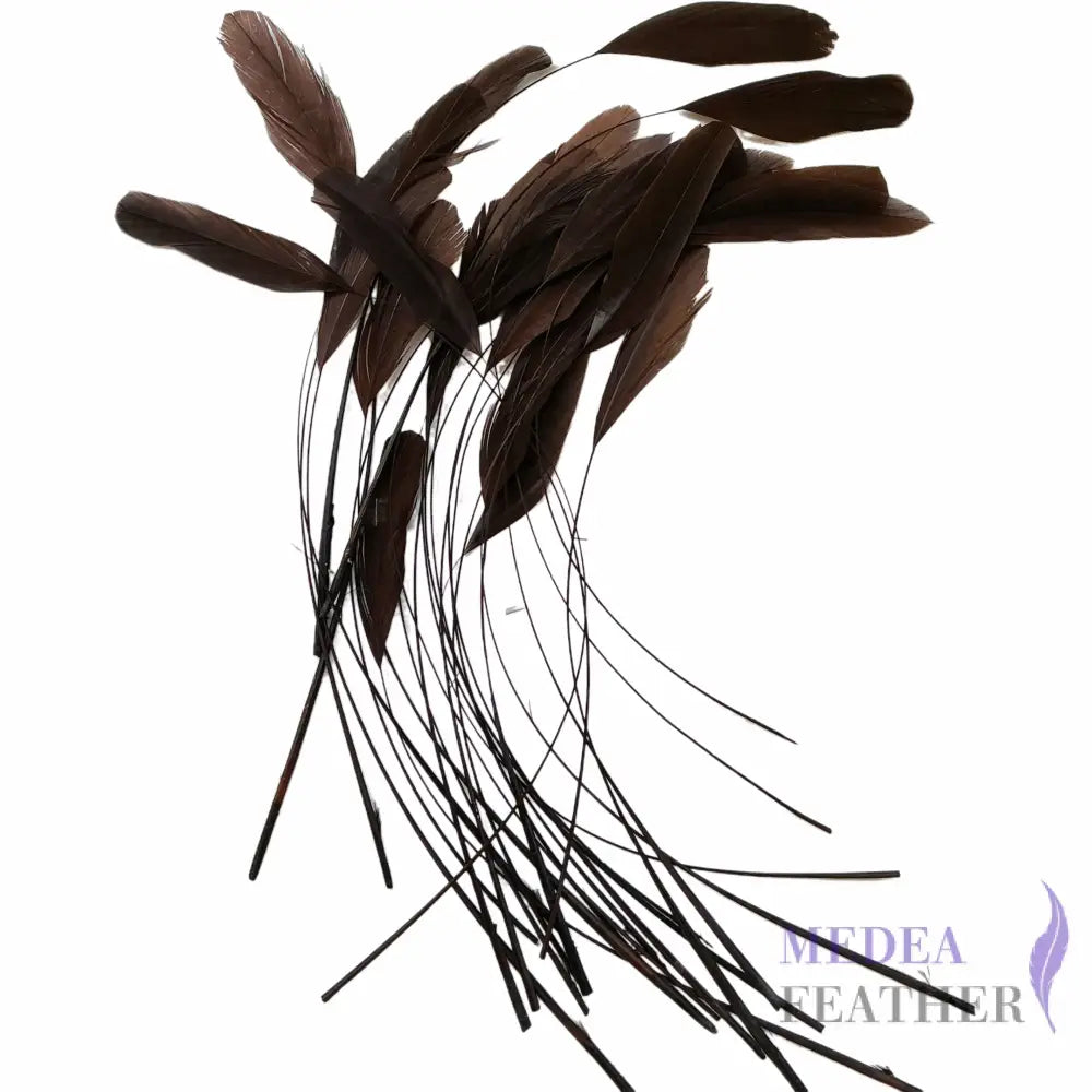 25cm Stripped Coque Feathers - Pack of 10 SFROOSTER01 - #66 cub
