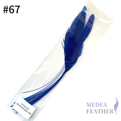 25cm Stripped Coque Feathers - Pack of 10 SF005 #67 royal blue