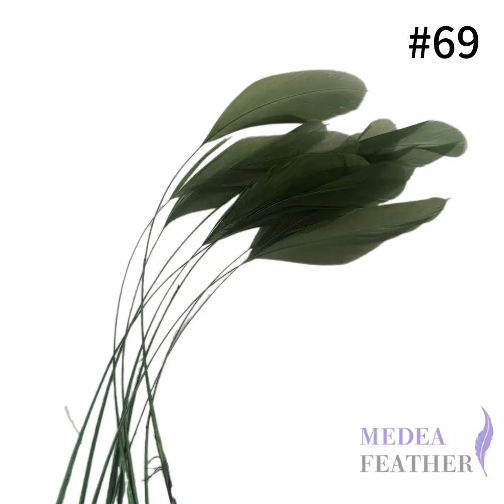 25cm Stripped Coque Feathers Pack of 10- SFROOSTER01 - #69 garden green