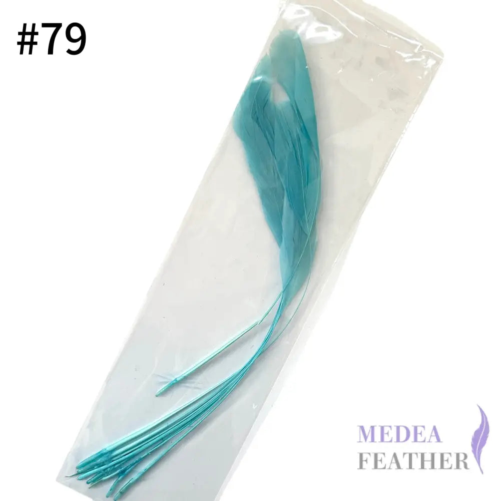 25cm Stripped Coque Feathers - Pack of 10 SF005 #79 green room