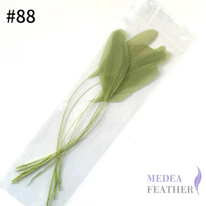25cm Stripped Coque Feathers - Pack of 10 SF005 #88 Green banana