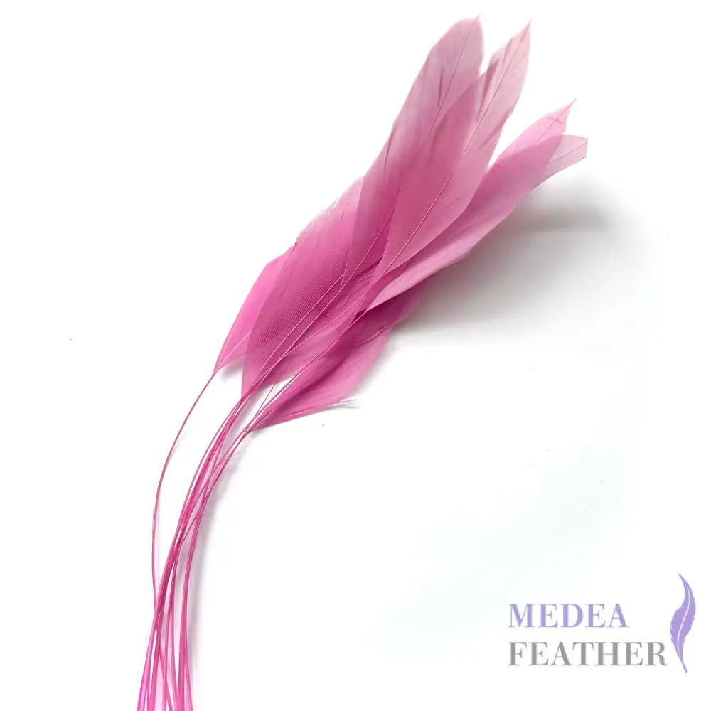 25cm Stripped Coque Feathers Pack of 10- SFROOSTER01 - #94 begonia pink