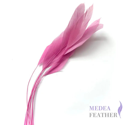 25cm Stripped Coque Feathers Pack of 10- SFROOSTER01 - #94 begonia pink
