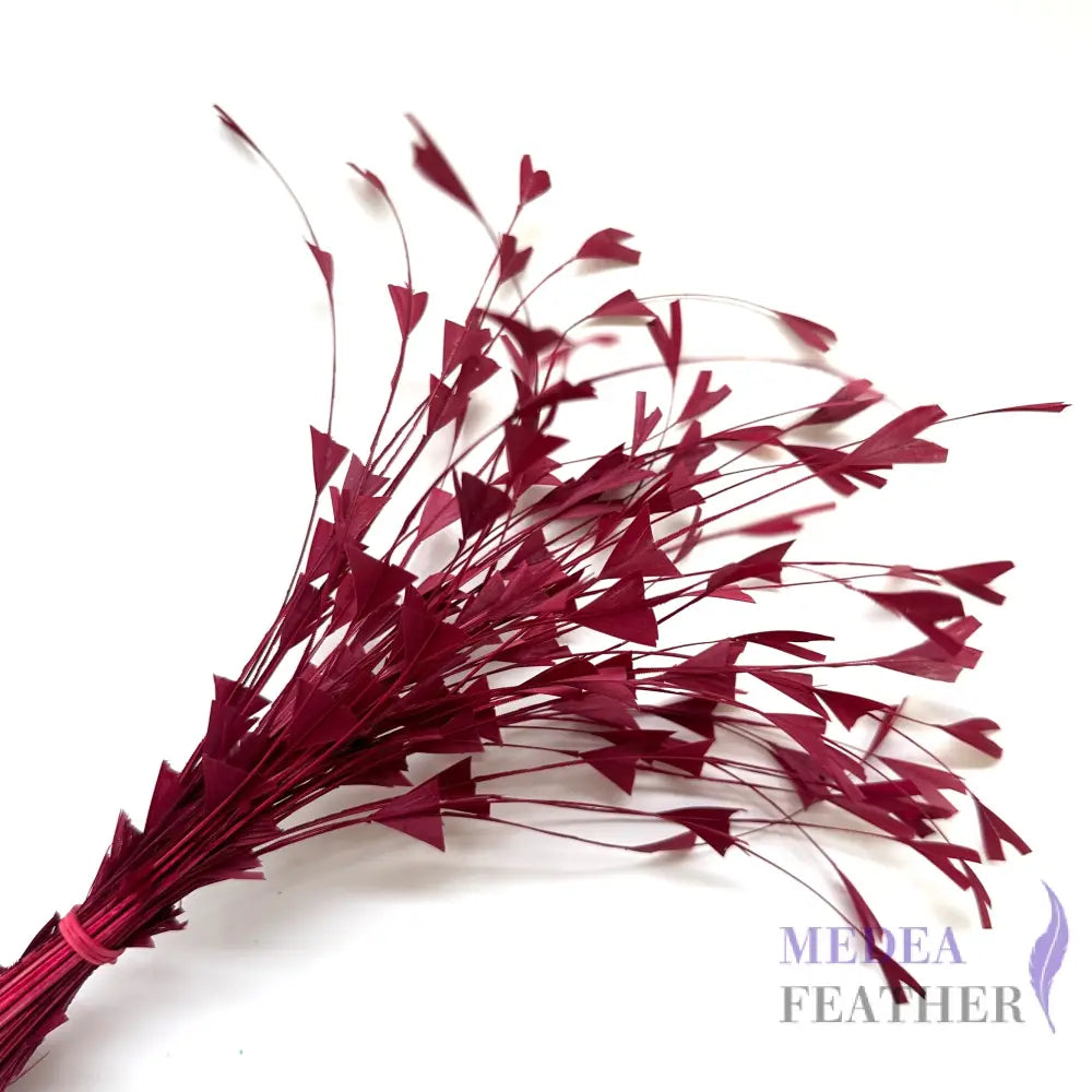 25cm Trimmed Inverted Triangle Tips Coque Feather-Pack of 10 SFROOSTER06 - #104 red plum