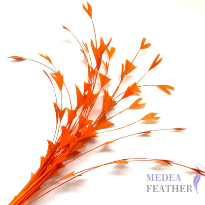 25cm Trimmed Inverted Triangle Tips Coque Feather-Pack of 10 SFROOSTER06 - #24 carrot