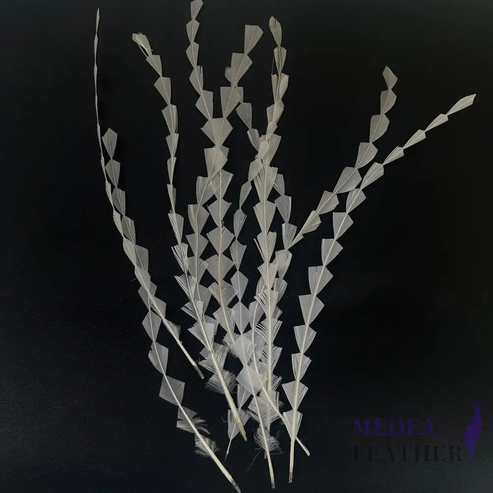 25cm Zigzag Diamond Coque Feather-Pack of 10 SF010 #02 white