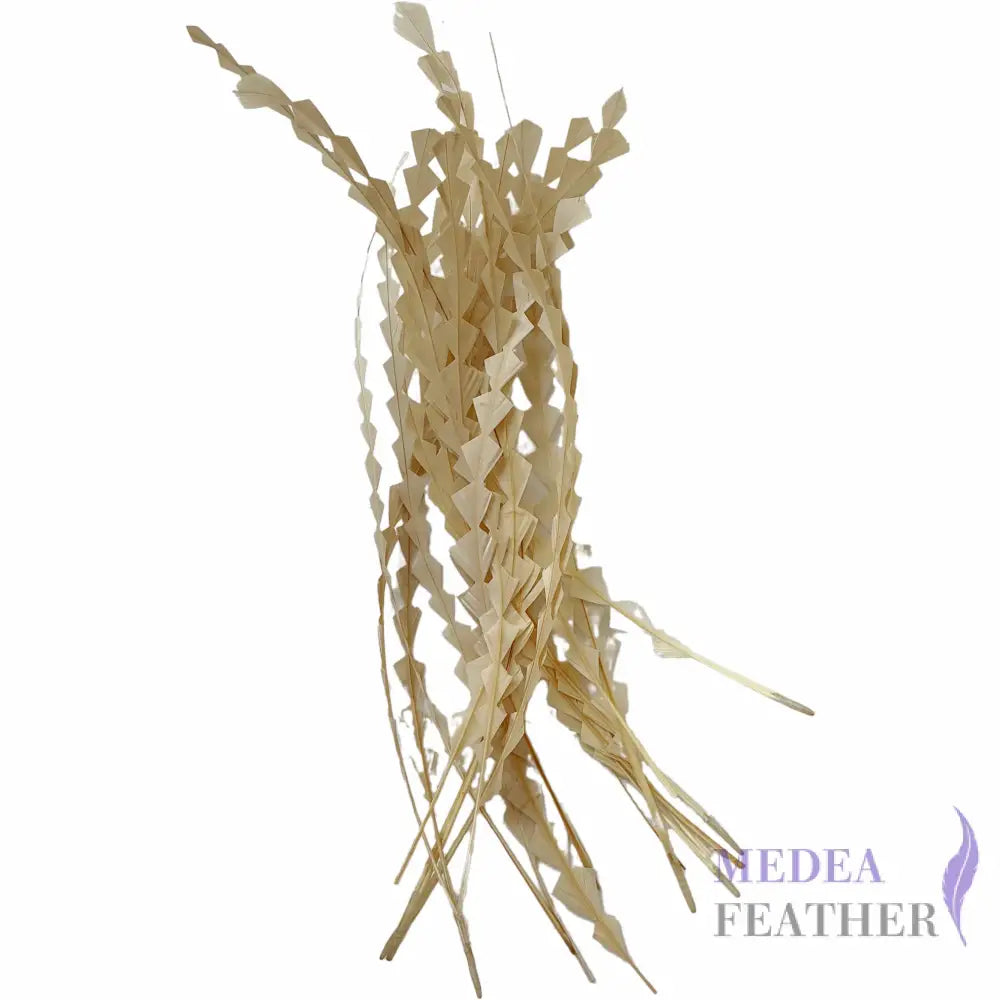 25cm Zigzag Diamond Coque Feather-Pack of 10 SFROOSTER02 - #04 cream