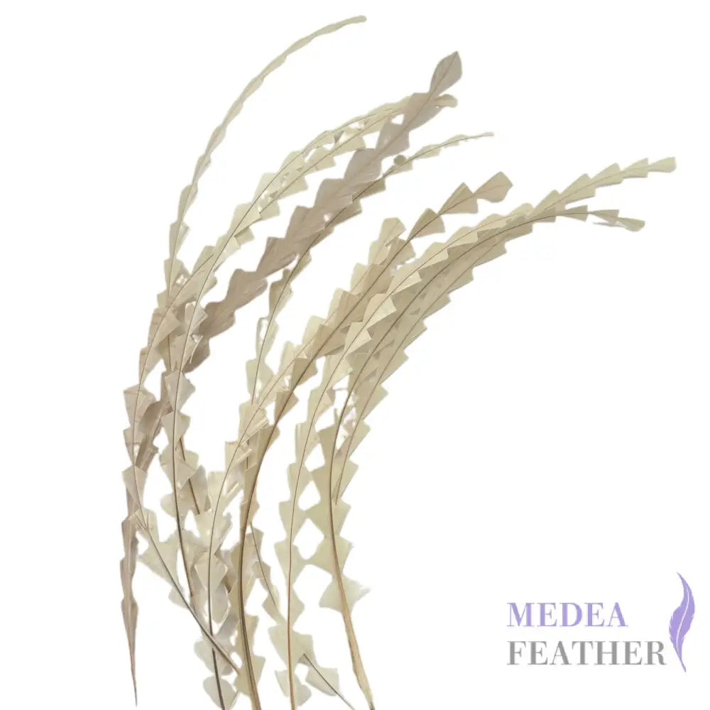 25cm Zigzag Diamond Coque Feather-Pack of 10 SF010 #05 Beige