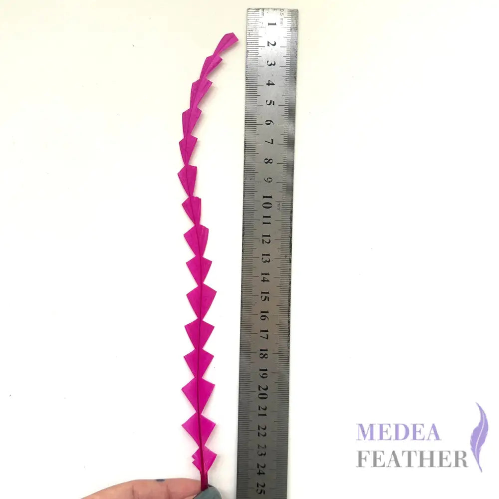 25cm Zigzag Diamond Coque Feather-Pack of 10 SF010