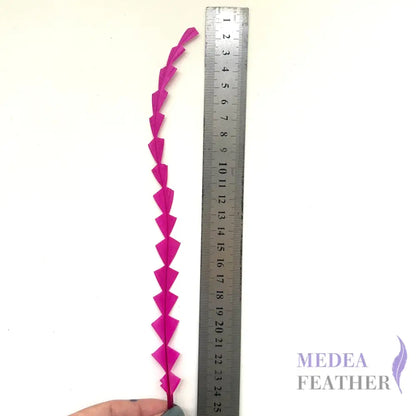 25cm Zigzag Diamond Coque Feather-Pack of 10 SF010