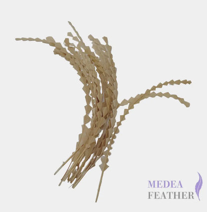 25cm Zigzag Diamond Coque Feather-Pack of 10 SFROOSTER02 - #39 indian khaki