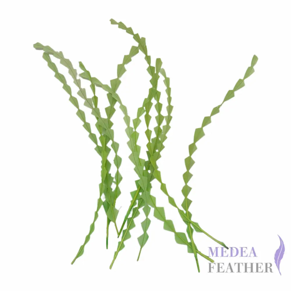 25cm Zigzag Diamond Coque Feather-Pack of 10 SF010 #88 green banana