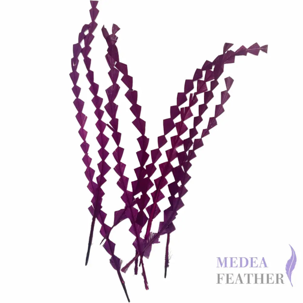 25cm Zigzag Diamond Coque Feather-Pack of 10 SF010