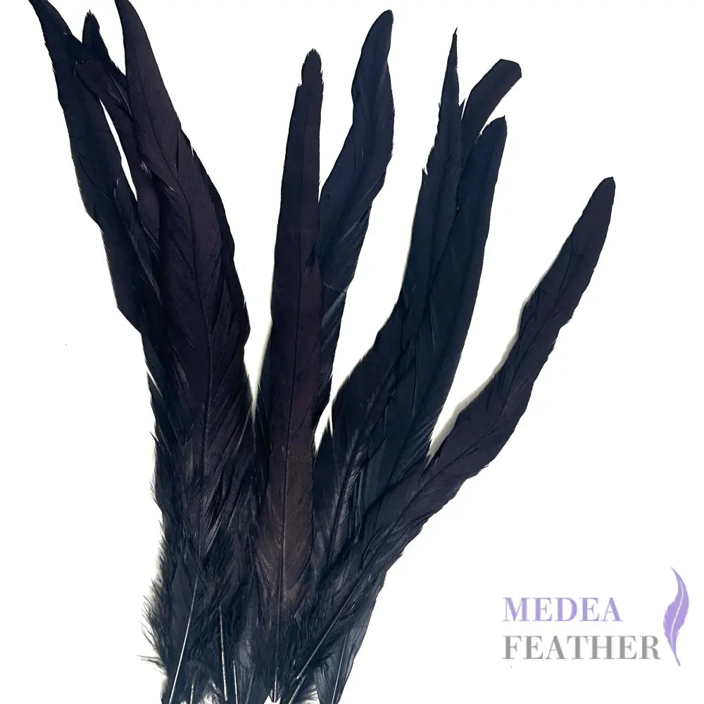 25cm Zigzag Diamond Coque Feather-Pack of 10 SF006C #03 black
