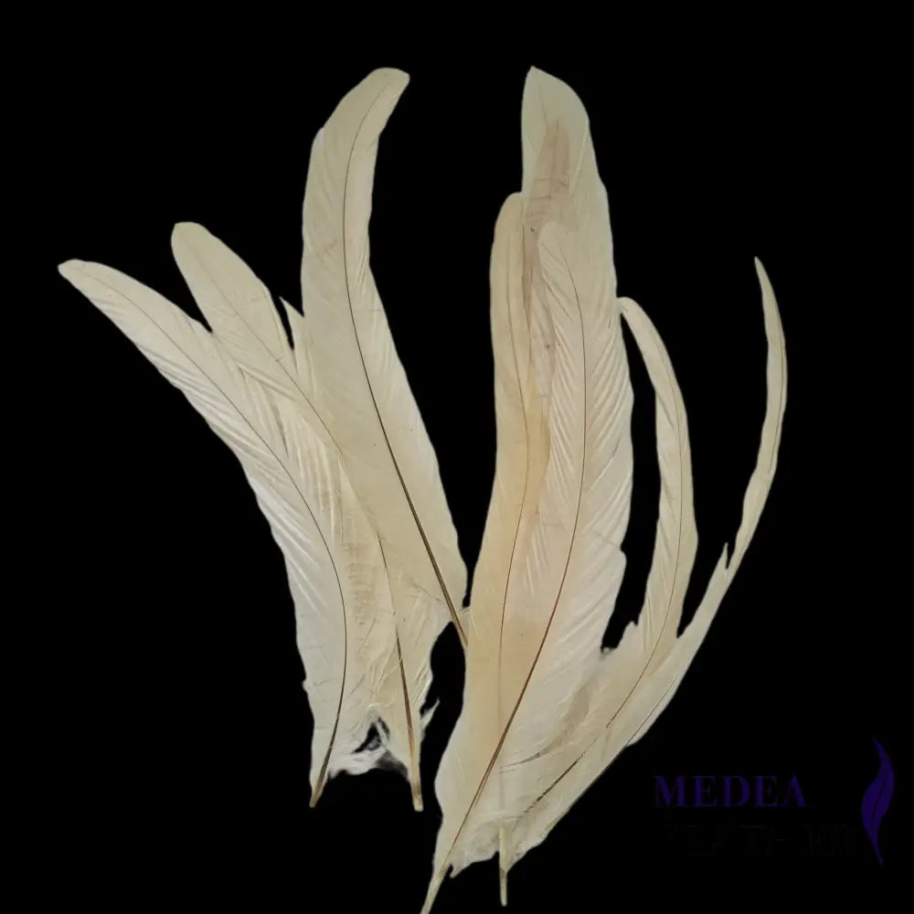 25cm Zigzag Diamond Coque Feather-Pack of 10 SF006C #05 Beige