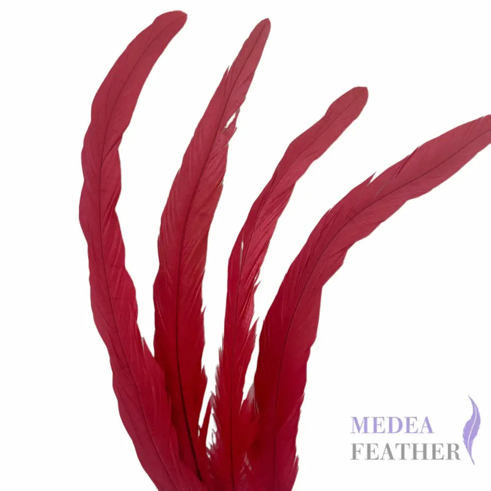 25cm Zigzag Diamond Coque Feather-Pack of 10 SF006C #23 tango red