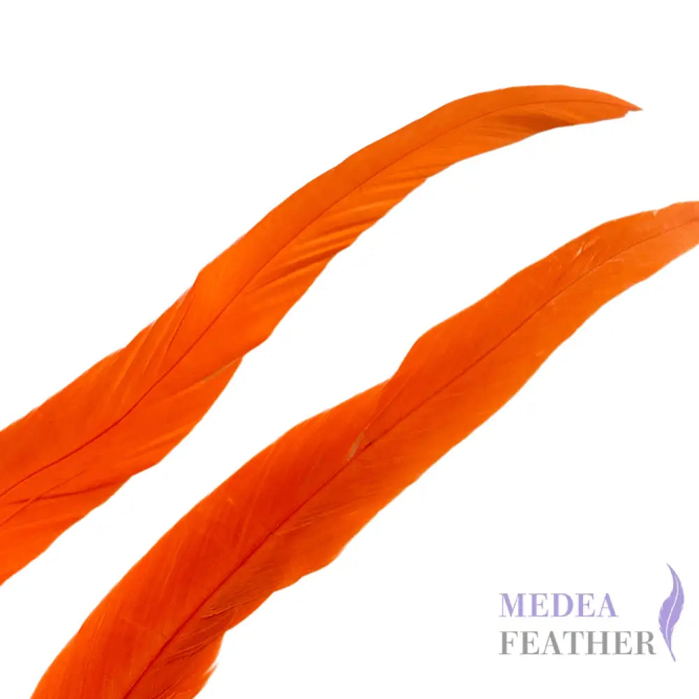 25cm Zigzag Diamond Coque Feather-Pack of 10 SF006C #24 carrot
