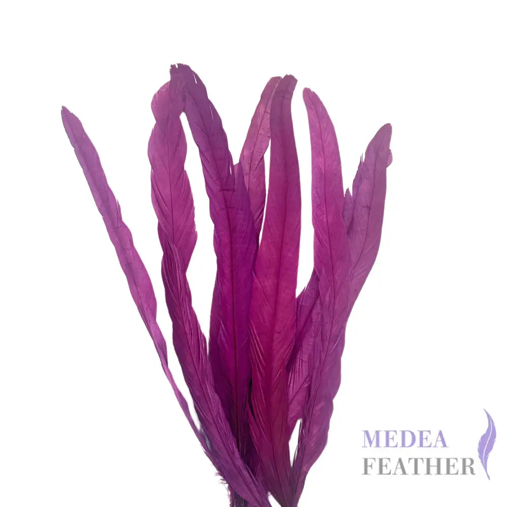 25cm Zigzag Diamond Coque Feather-Pack of 10 SF006C #60 dark purple