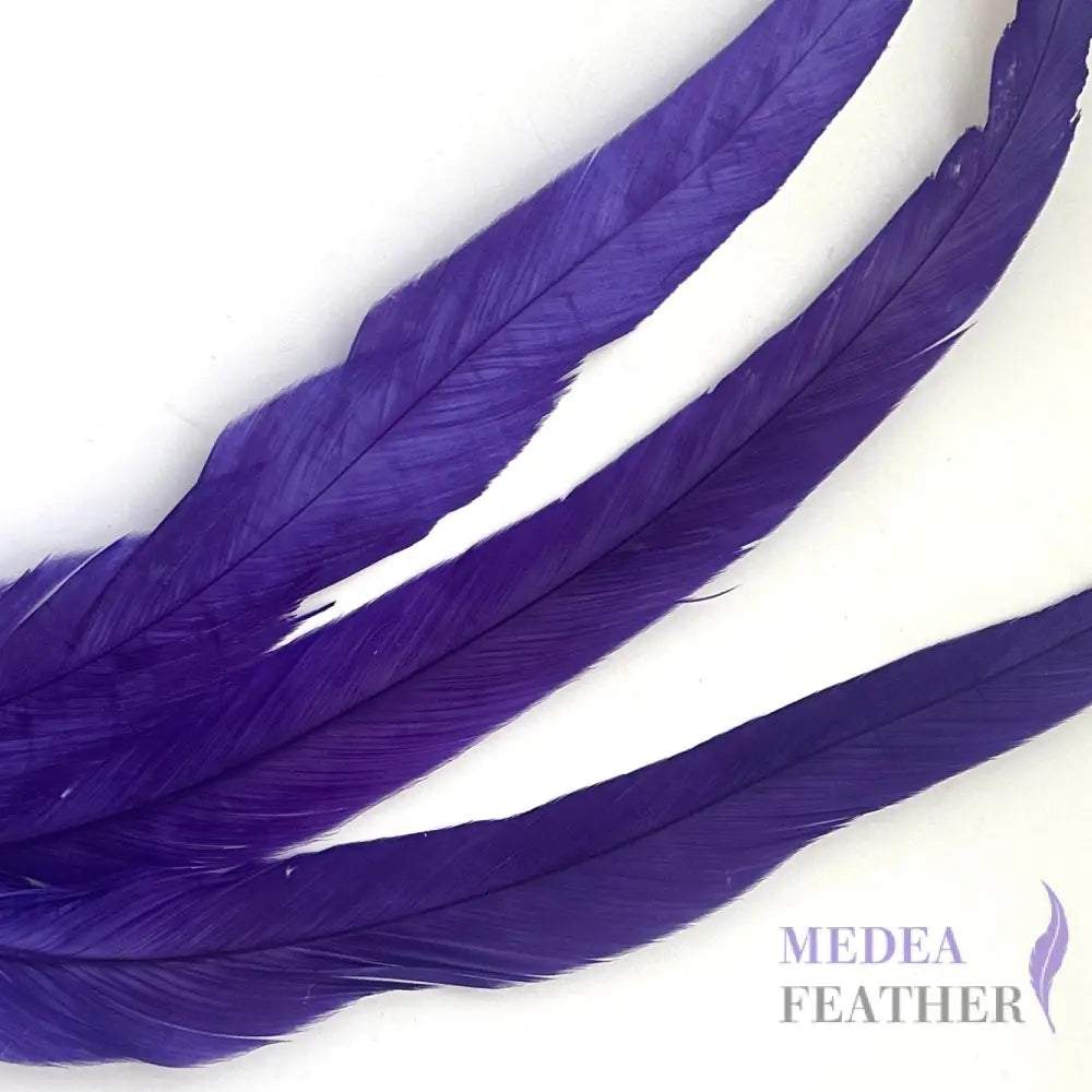 25cm Zigzag Diamond Coque Feather-Pack of 10 SF006C #63 purple