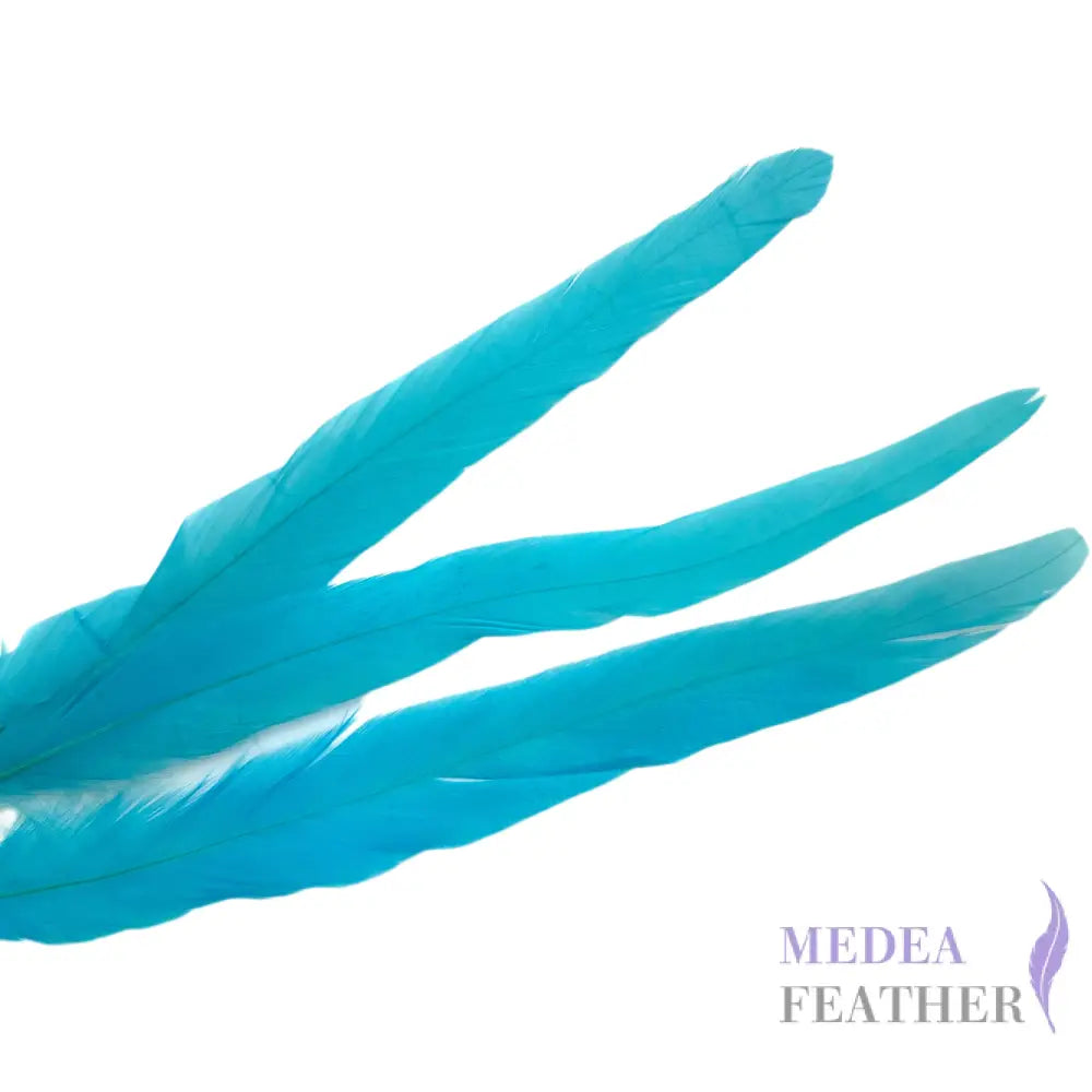 25cm Zigzag Diamond Coque Feather-Pack of 10 SF006C #99 peacock