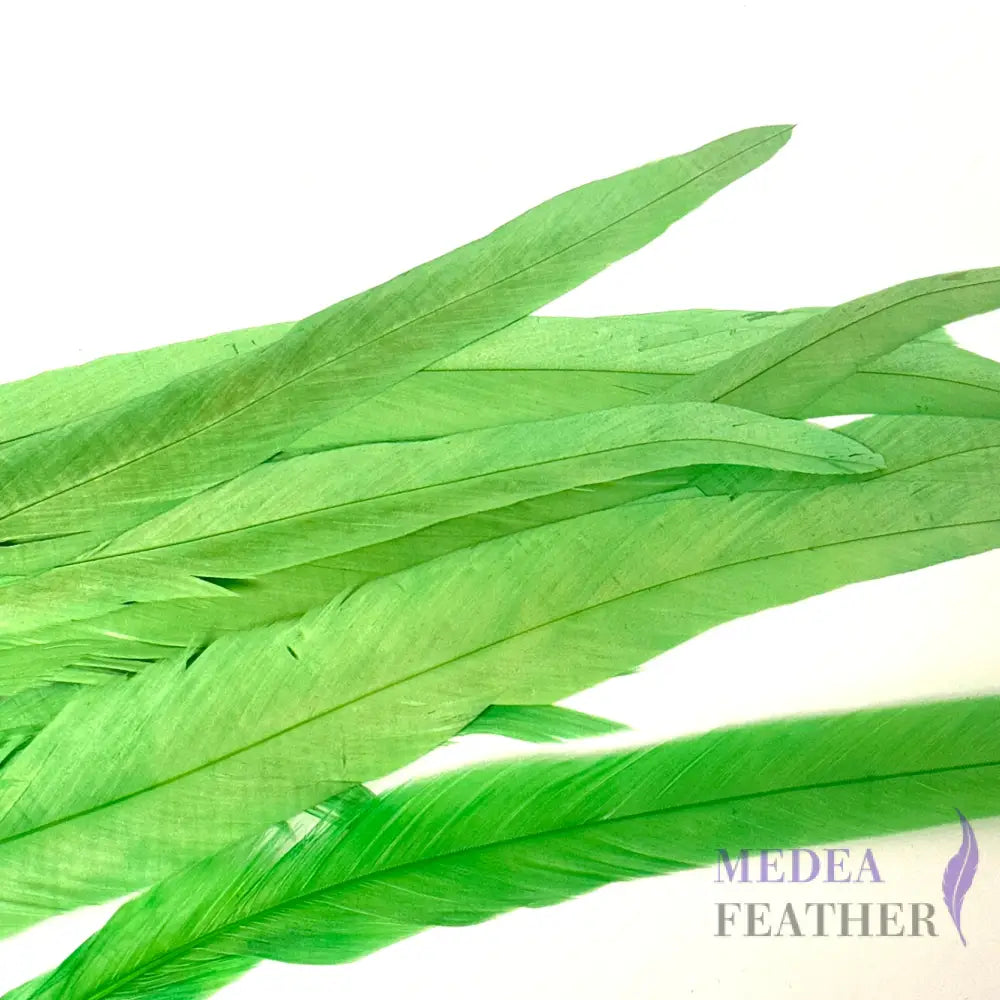 25cm Zigzag Diamond Coque Feather-Pack of 10 SF006C Emerald