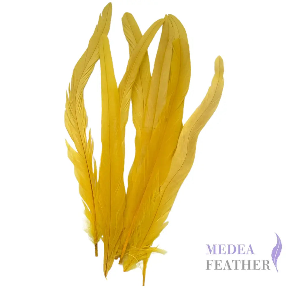 25cm Zigzag Diamond Coque Feather-Pack of 10 SF006C Golden yellow