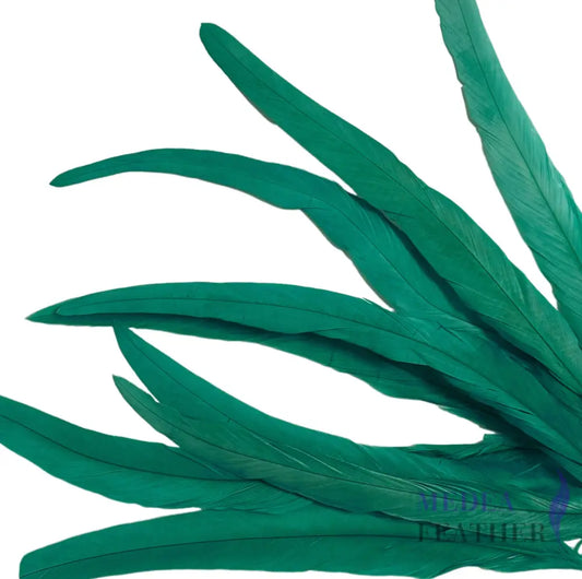 25cm Zigzag Diamond Coque Feather-Pack of 10 SF006C Green