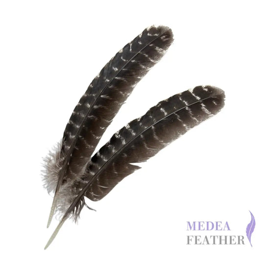 30cm Long Turkey Wing Feathers-Pack of 5