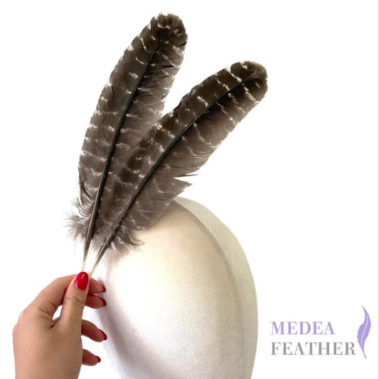 30cm Long Turkey Wing Feathers-Pack of 5