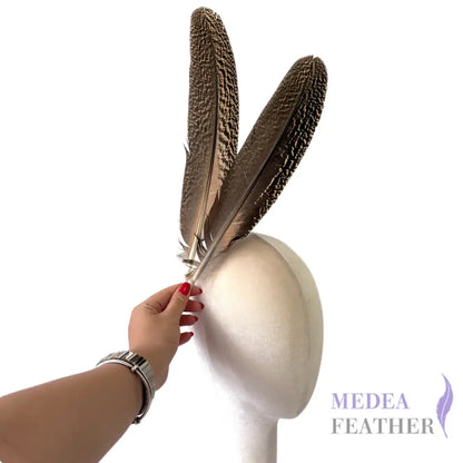 30cm Peacock Wing Feather-Pack of 5