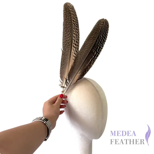 30cm Peacock Wing Feather-Pack of 5