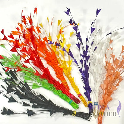 30cm Triangle Tipped Stripped Coque Feather 1 piece