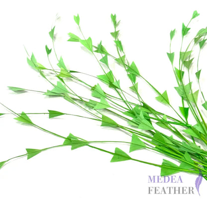 30cm Triangle Tipped Stripped Coque Feather 1 piece Light green