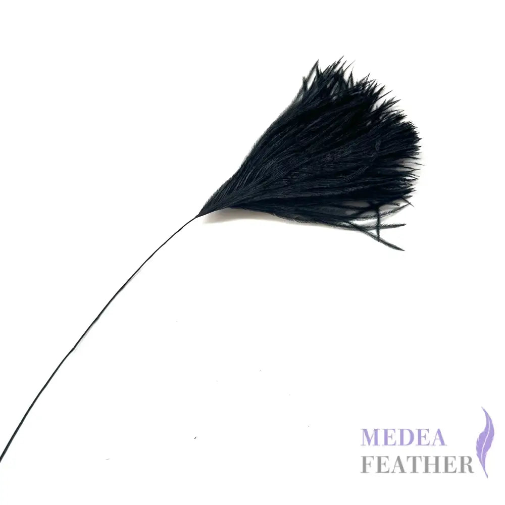 30cm Trimmed Ostrich Feather - Pack of 5 All black