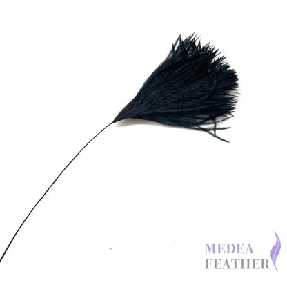 30cm Trimmed Ostrich Feather - Pack of 5 All black