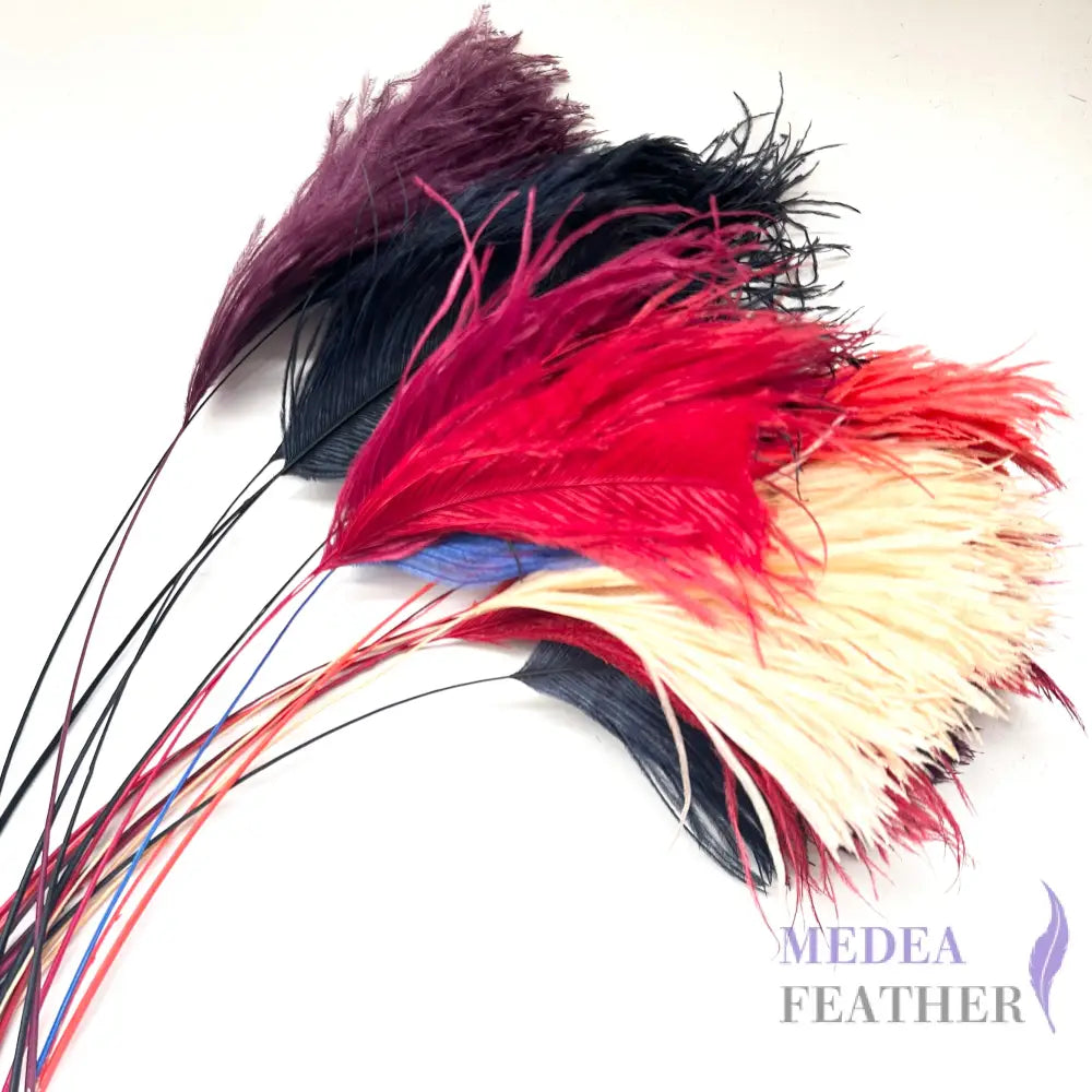 30cm Trimmed Ostrich Feather - Pack of 5 Random 5 colours