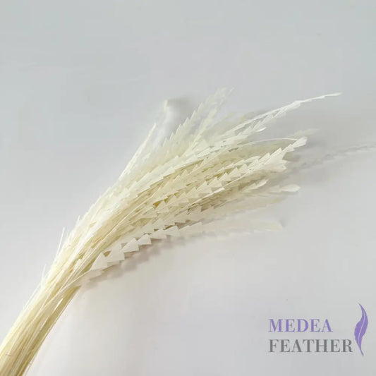 30cm Zigzag Small Diamond Coque Feather-Pack of 10 Ivory