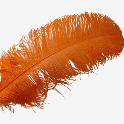 Ostrich Feather Plume 55-60cm